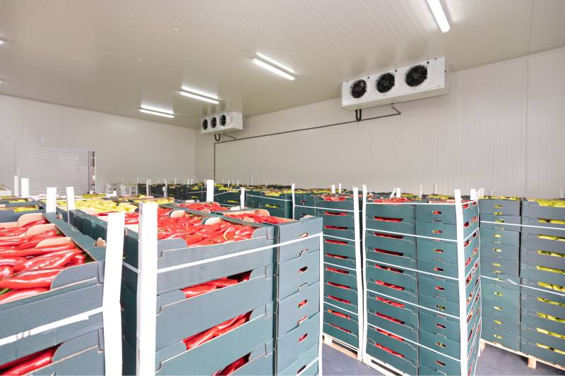 Fruits &amp; Vegetables freezer cold rooms